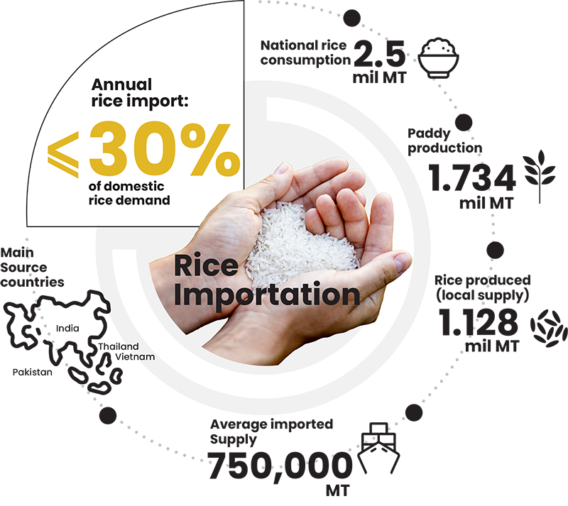 rice import business plan