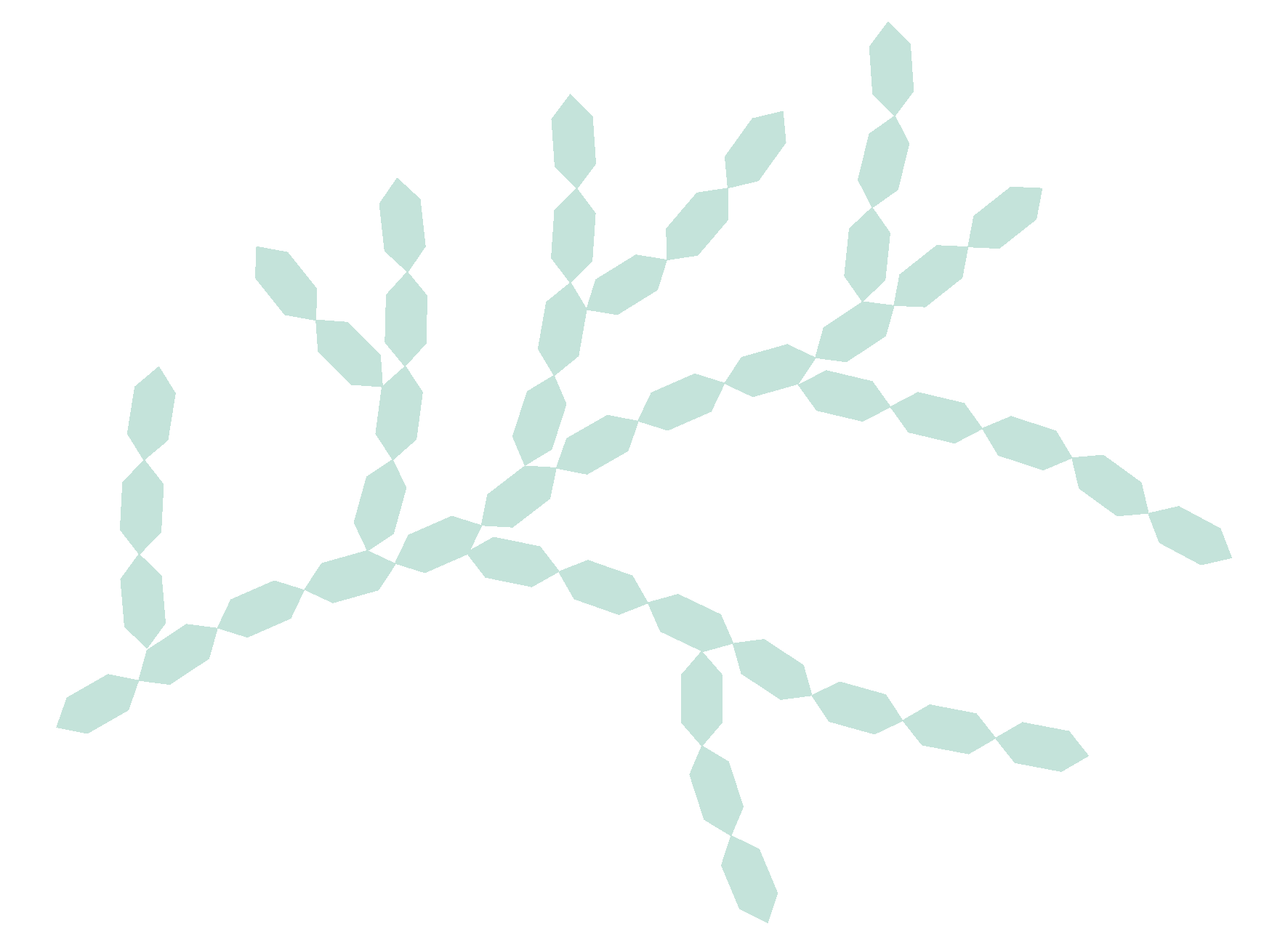 Amylopectin Molecules Image