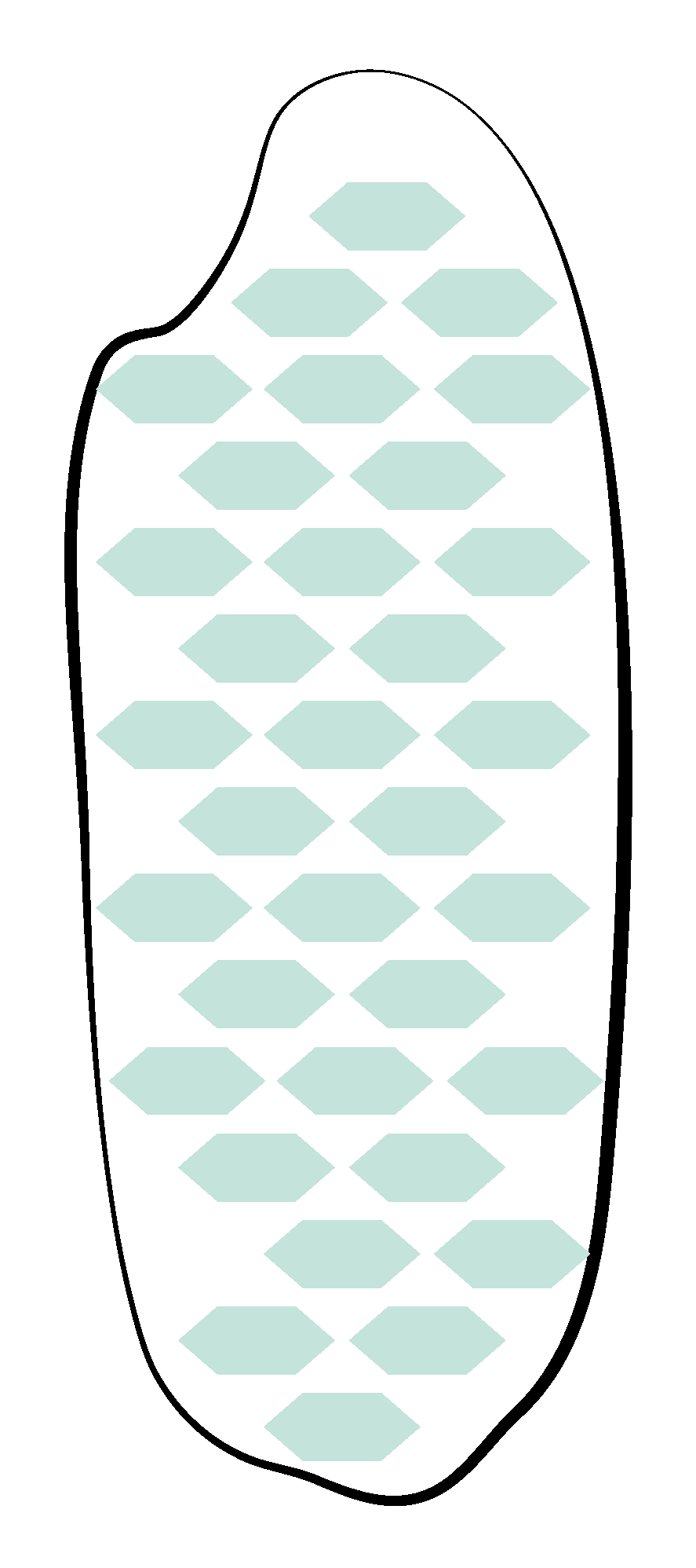 Sticky Rice Image