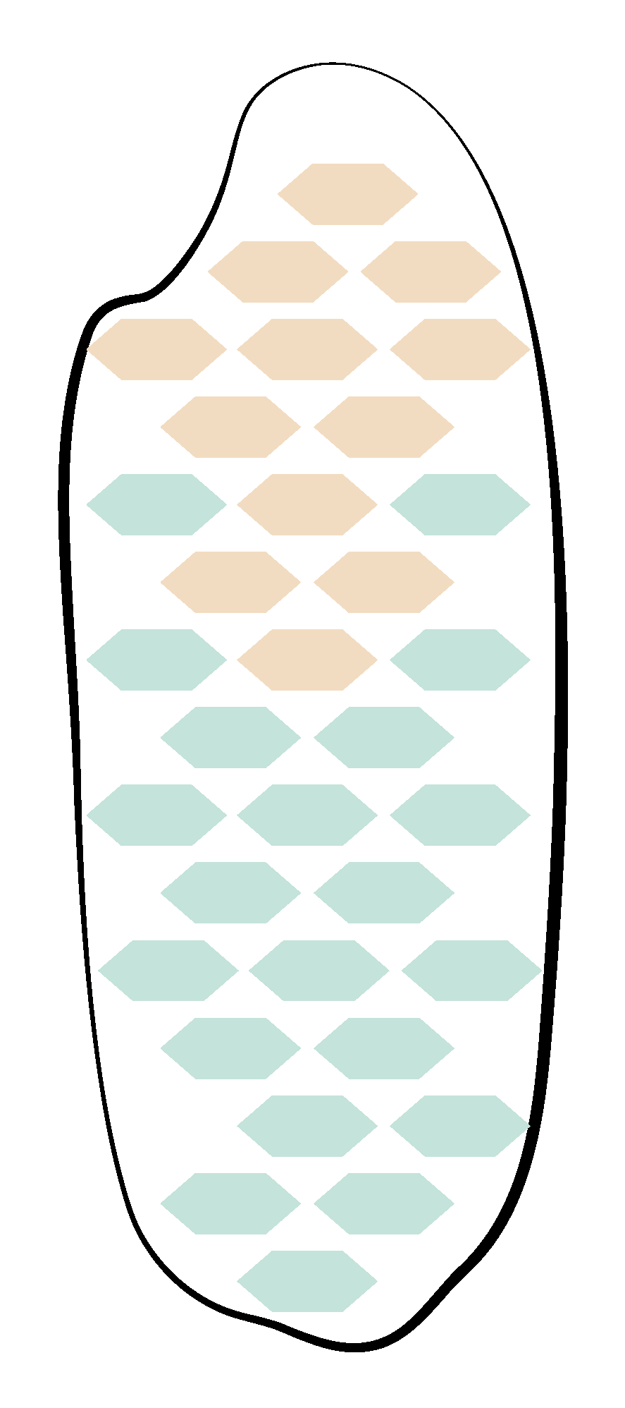 White Rice Image
